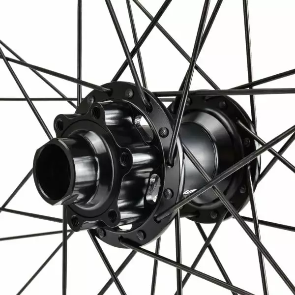 Dt-swiss Paire De Roues DT SWISS FR 1950 CLASSIC 30 Mm 29'' Axe Av. 20x110 Mm - Ar. 12x150 Mm 8 Dt-swiss Paire De Roues DT SWISS FR 1950 CLASSIC 30 Mm 29'' Axe Av. 20x110 Mm - Ar. 12x150 Mm – Image 6